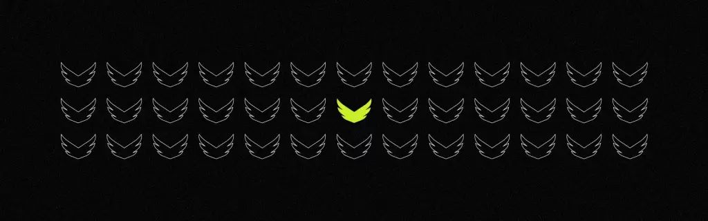 Wings 2 Wings